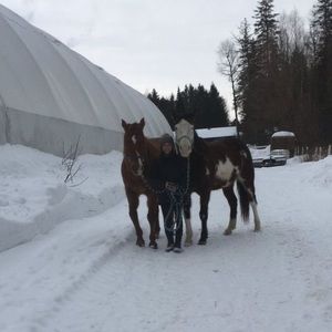 Meet your Posher, Taboudi